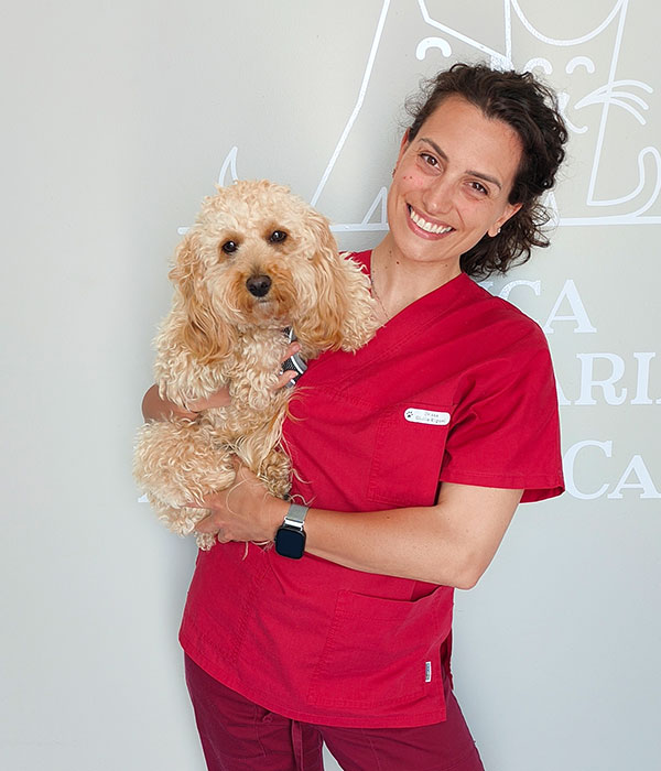 Ambulatorio Veterinario DR. Bovo Carlo