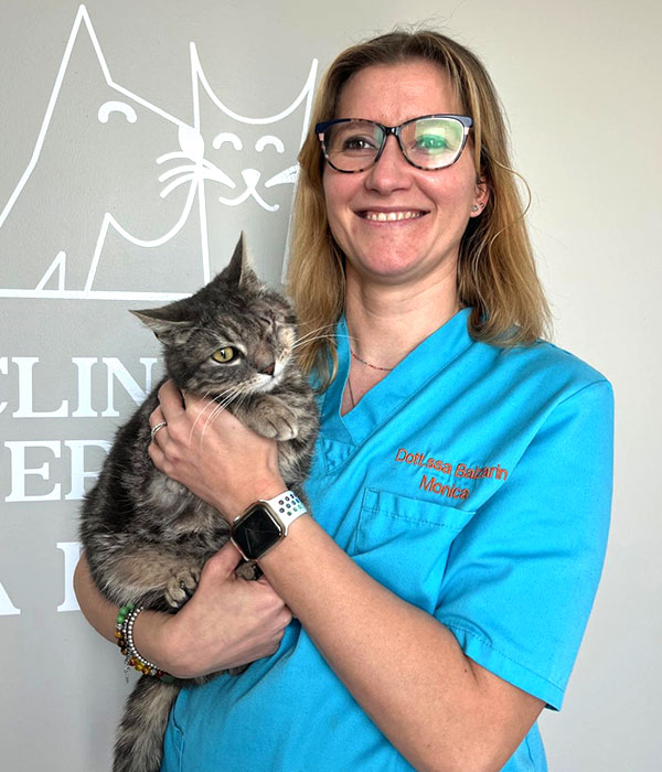 Ambulatorio Veterinario DR. Bovo Carlo